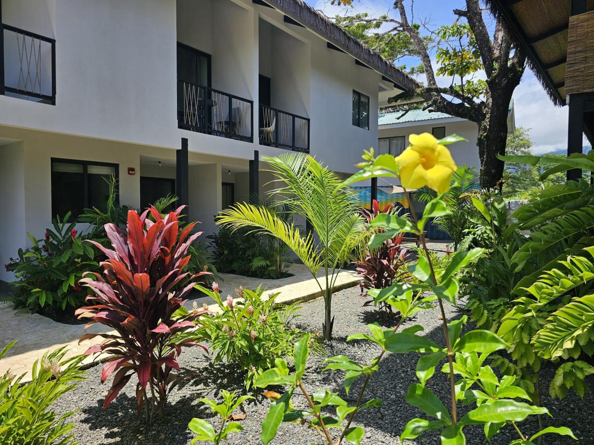 Yuli Uvita